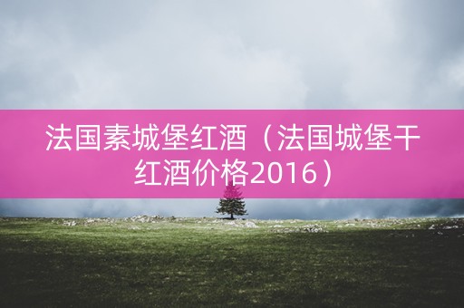 法国素城堡红酒（法国城堡干红酒价格2016）