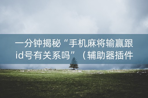 一分钟揭秘“手机麻将输赢跟id号有关系吗”（辅助器插件)