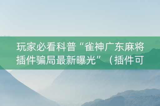 玩家必看科普“雀神广东麻将插件骗局最新曝光”（插件可信吗)