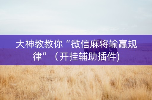 大神教教你“微信麻将输赢规律”（开挂辅助插件)