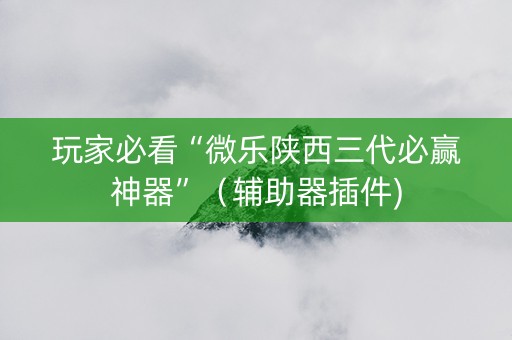 玩家必看“微乐陕西三代必赢神器”（辅助器插件)