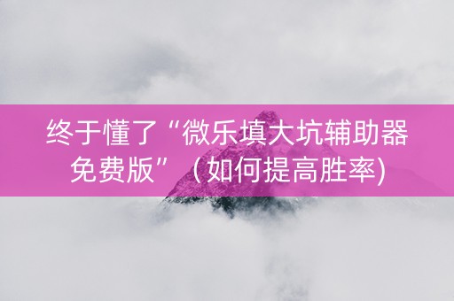 终于懂了“微乐填大坑辅助器免费版”（如何提高胜率)