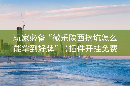 玩家必备“微乐陕西挖坑怎么能拿到好牌”（插件开挂免费AI)