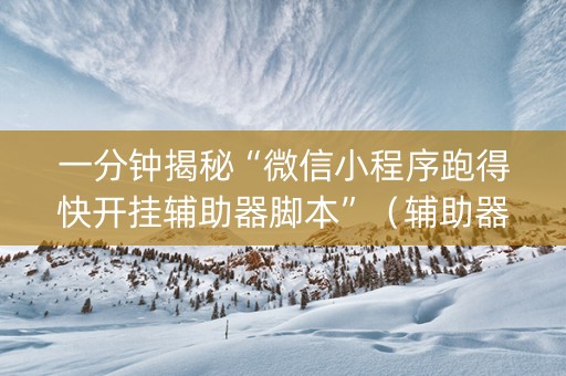 一分钟揭秘“微信小程序跑得快开挂辅助器脚本”（辅助器通用版)