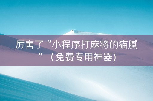 厉害了“小程序打麻将的猫腻”（免费专用神器)