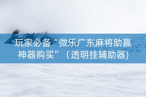 玩家必备“微乐广东麻将助赢神器购买”（透明挂辅助器)