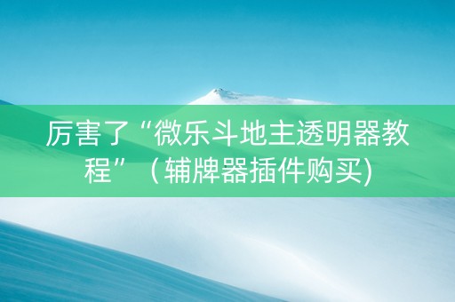 厉害了“微乐斗地主透明器教程”（辅牌器插件购买)