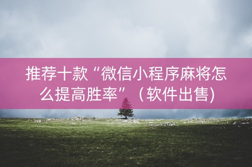 推荐十款“微信小程序麻将怎么提高胜率”（软件出售)