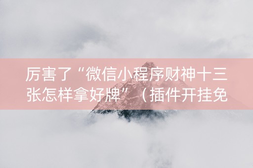 厉害了“微信小程序财神十三张怎样拿好牌”（插件开挂免费AI)