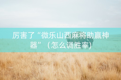 厉害了“微乐山西麻将助赢神器”（怎么调胜率)