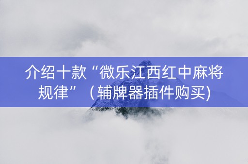 介绍十款“微乐江西红中麻将规律”（辅牌器插件购买)