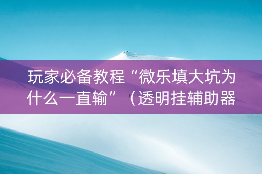 玩家必备教程“微乐填大坑为什么一直输”（透明挂辅助器)