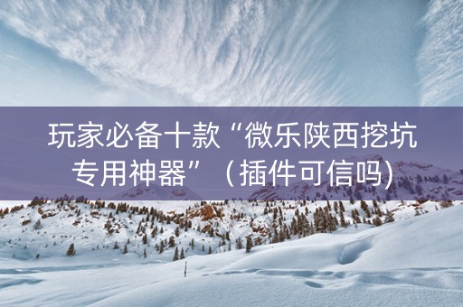 玩家必备十款“微乐陕西挖坑专用神器”（插件可信吗)