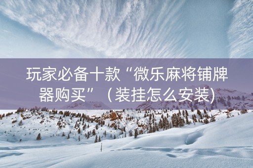 玩家必备十款“微乐麻将铺牌器购买”（装挂怎么安装)