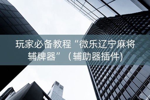 玩家必备教程“微乐辽宁麻将辅牌器”（辅助器插件)