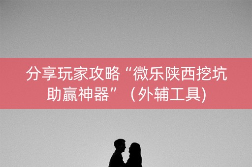 分享玩家攻略“微乐陕西挖坑助赢神器”（外辅工具)