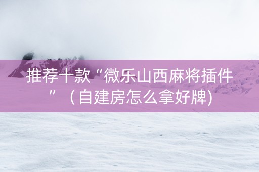 推荐十款“微乐山西麻将插件”（自建房怎么拿好牌)