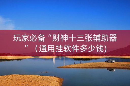 玩家必备“财神十三张辅助器”（通用挂软件多少钱)