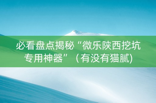 必看盘点揭秘“微乐陕西挖坑专用神器”（有没有猫腻)