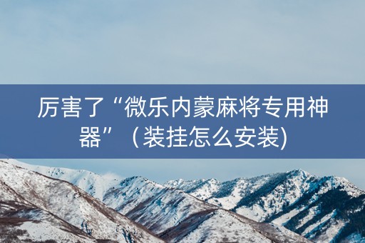 厉害了“微乐内蒙麻将专用神器”（装挂怎么安装)