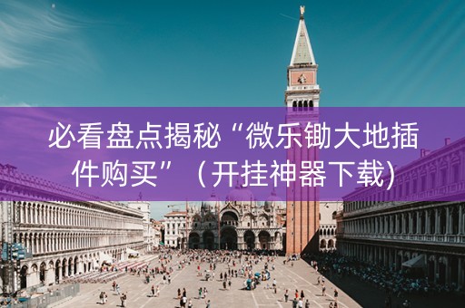 必看盘点揭秘“微乐锄大地插件购买”（开挂神器下载)