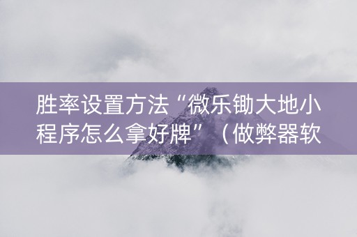 胜率设置方法“微乐锄大地小程序怎么拿好牌”（做弊器软件下载)