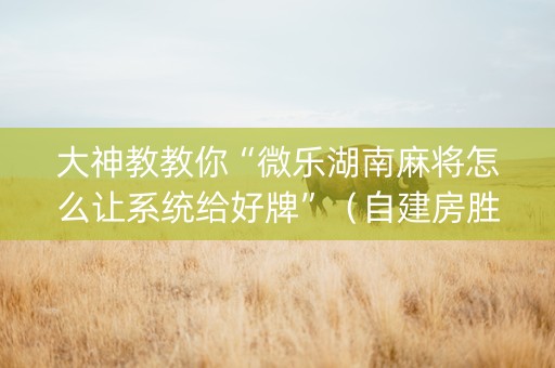大神教教你“微乐湖南麻将怎么让系统给好牌”（自建房胜负规律)