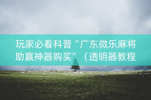 玩家必看科普“广东微乐麻将助赢神器购买”（透明器教程)