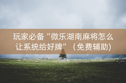 玩家必备“微乐湖南麻将怎么让系统给好牌”（免费辅助)