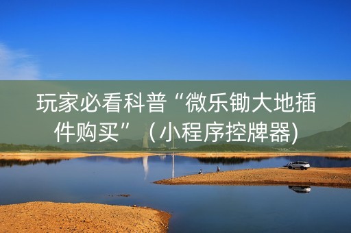 玩家必看科普“微乐锄大地插件购买”（小程序控牌器)
