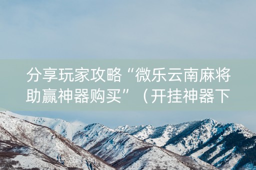 分享玩家攻略“微乐云南麻将助赢神器购买”（开挂神器下载)