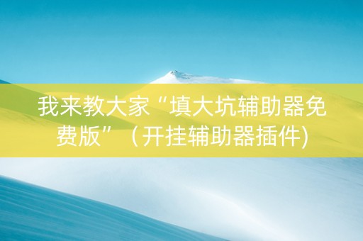 我来教大家“填大坑辅助器免费版”（开挂辅助器插件)