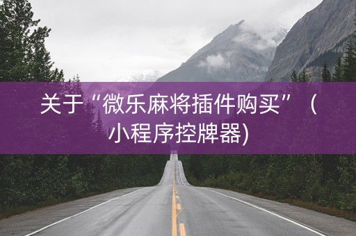 关于“微乐麻将插件购买”（小程序控牌器)
