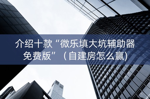 介绍十款“微乐填大坑辅助器免费版”（自建房怎么赢)