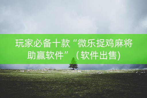 玩家必备十款“微乐捉鸡麻将助赢软件”（软件出售)