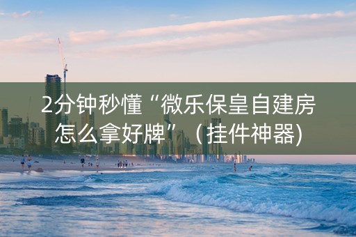 2分钟秒懂“微乐保皇自建房怎么拿好牌”（挂件神器)