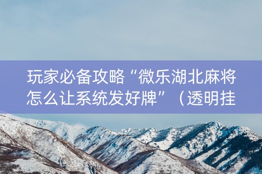 玩家必备攻略“微乐湖北麻将怎么让系统发好牌”（透明挂辅助器)