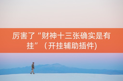 厉害了“财神十三张确实是有挂”（开挂辅助插件)