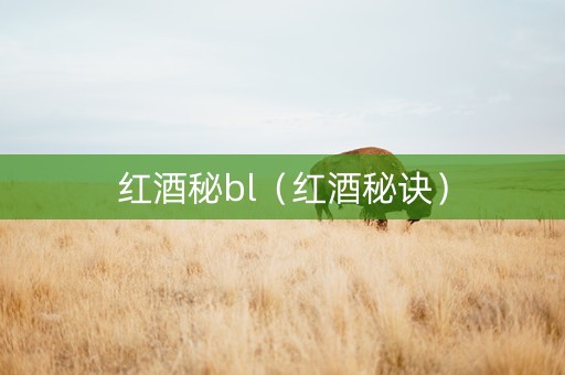 红酒秘bl（红酒秘诀）
