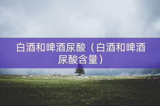 白酒和啤酒尿酸（白酒和啤酒尿酸含量）