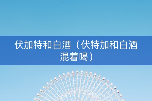 伏加特和白酒（伏特加和白酒混着喝）