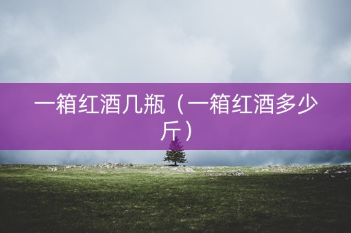 一箱红酒几瓶（一箱红酒多少斤）