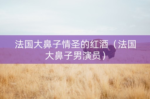 法国大鼻子情圣的红酒（法国大鼻子男演员）