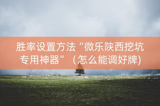 胜率设置方法“微乐陕西挖坑专用神器”（怎么能调好牌)