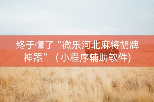 终于懂了“微乐河北麻将胡牌神器”（小程序辅助软件)