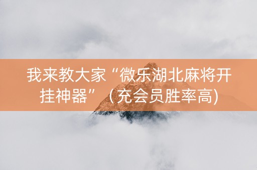 我来教大家“微乐湖北麻将开挂神器”（充会员胜率高)