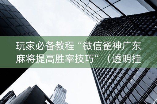 玩家必备教程“微信雀神广东麻将提高胜率技巧”（透明挂辅助器)