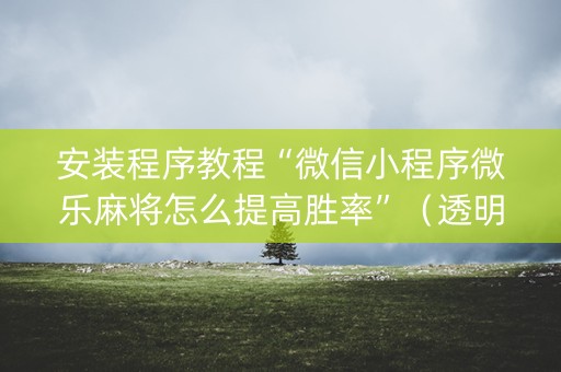 安装程序教程“微信小程序微乐麻将怎么提高胜率”（透明挂辅助器)