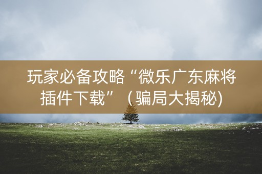 玩家必备攻略“微乐广东麻将插件下载”（骗局大揭秘)