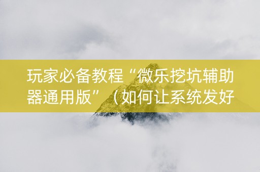 玩家必备教程“微乐挖坑辅助器通用版”（如何让系统发好牌)